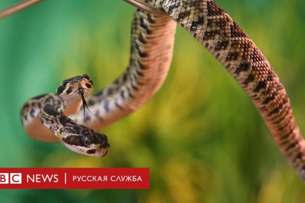 Кракен нар
