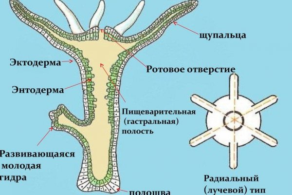 Не пришли деньги на кракен