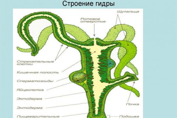 Сайт тор кракен