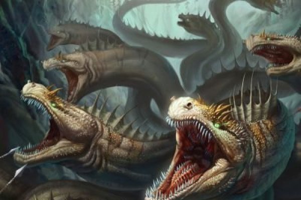 Kraken 12 at что это
